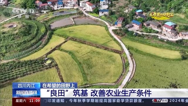 千里沃野筑粮仓 四川主产区迎丰收