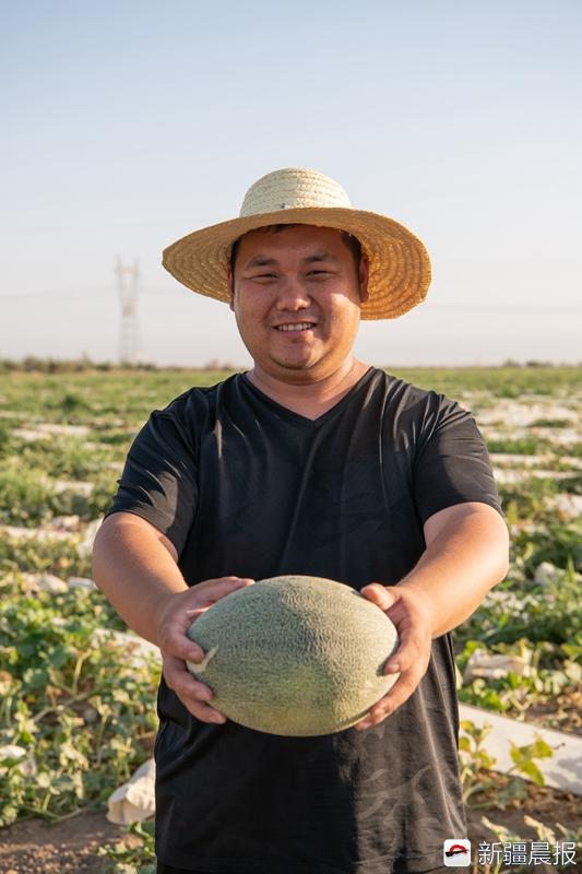 吐鲁番西州蜜瓜“翻越”火焰山来到你身边 7月上天猫聚划算买买买