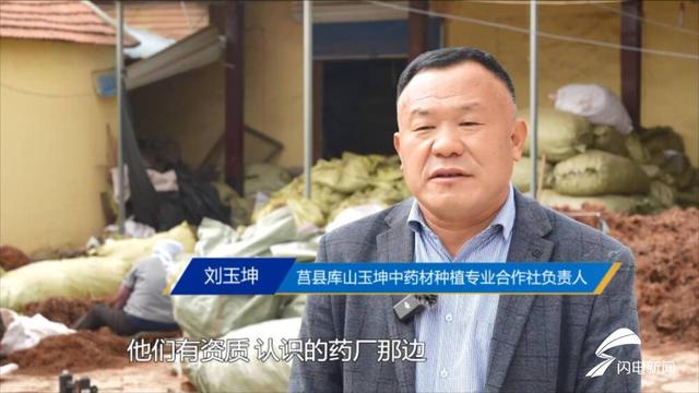 问政山东｜中药材生产基地“一等品质三流价格” 日照市：以龙头企业带动区域品牌 让种植户增产又增收