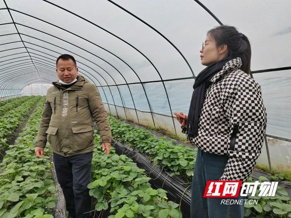 寻找中国式现代化村庄模样丨吉首市寨阳村：生态美产业兴 文明新风扑面来