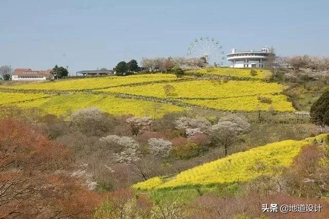 景观设计，给你一个高颜值的中草药休闲农业园