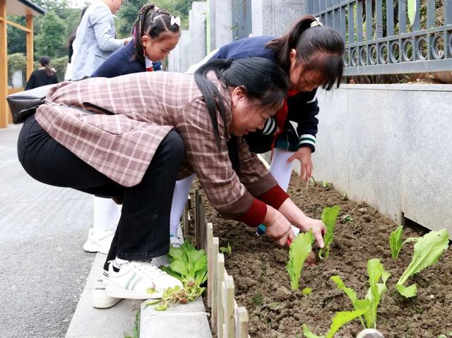 成都市双流区黄甲小学——小手种希望，共待花开时