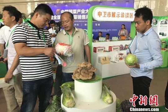 中国蔬菜种植面积超3亿亩