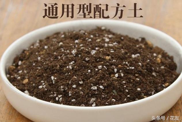 营养土的六大优势和三款配方，花友动手，不同花卉适用不同型土壤