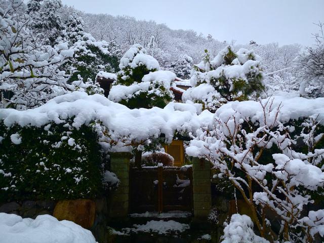 他在京都山里修筑庭院，种菜烧饭，山居滋味究竟哪般？