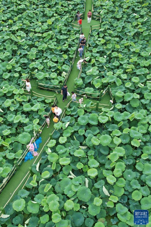 荷花宫样美人妆，荷叶临风翠作裳