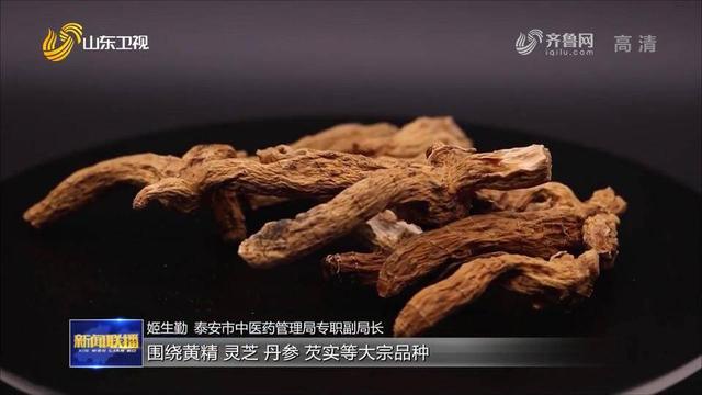 泰安：打造齐鲁中医药健康产业新高地