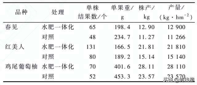 低山丘陵柑橘园水肥一体化技术应用试验