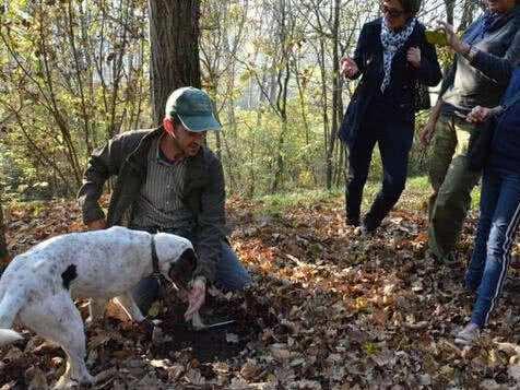 名气堪比鱼子酱，一斤400块钱不愁卖，农民：价格欢喜，好想种植