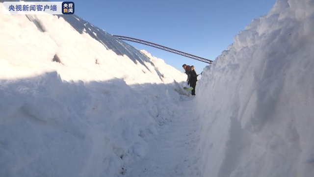 换苗、补种、增温、清雪…… 应对暴雪天气 内蒙古赤峰种植户有这么多招