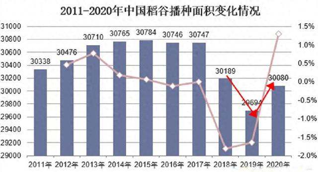 美国水稻有黑科技？不是主食，亩产量却直超中国，我们能学到什么