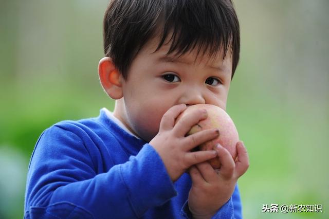 苹果无公害栽培革新，陕北地区无公害苹果种植技术，进来看看