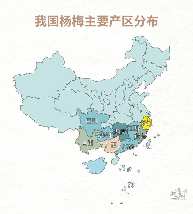 中国最好吃的杨梅，都藏在浙江这些小山村里