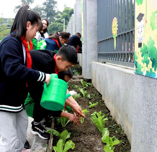 成都市双流区黄甲小学——小手种希望，共待花开时