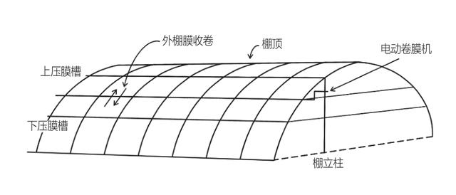 东台市塑料大棚标准果型西瓜栽培集成技术