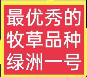 辽宁山地适合种植什么(绿洲一号牧草，综合条件特优，亩产20吨以上，适合养殖多种禽畜)