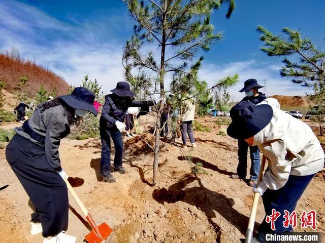 青海掀起春季义务植树高潮 今年计划义务植树1500万株