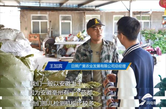 问政山东｜中药材生产基地“一等品质三流价格” 日照市：以龙头企业带动区域品牌 让种植户增产又增收