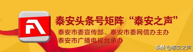 年收入200多万元!新泰这位小伙把小野菜种成大产业