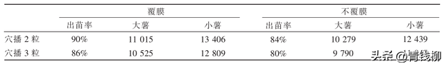 山药零余子繁殖技术解析：提升种植效益的新突破