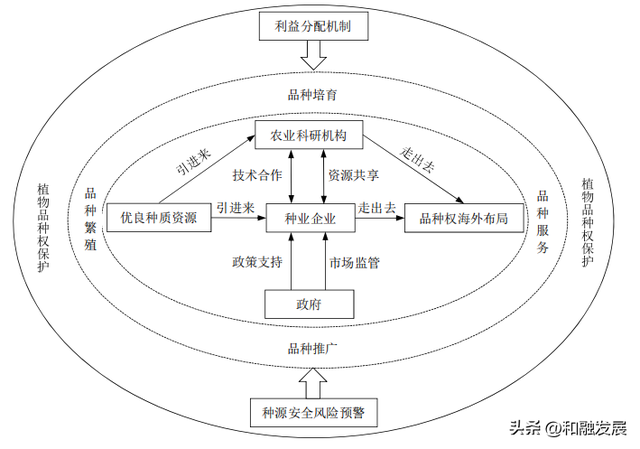 中国种源“卡脖子”难题与破解路径——基于植物品种权布局视角