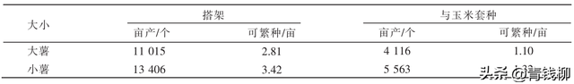 山药零余子繁殖技术解析：提升种植效益的新突破