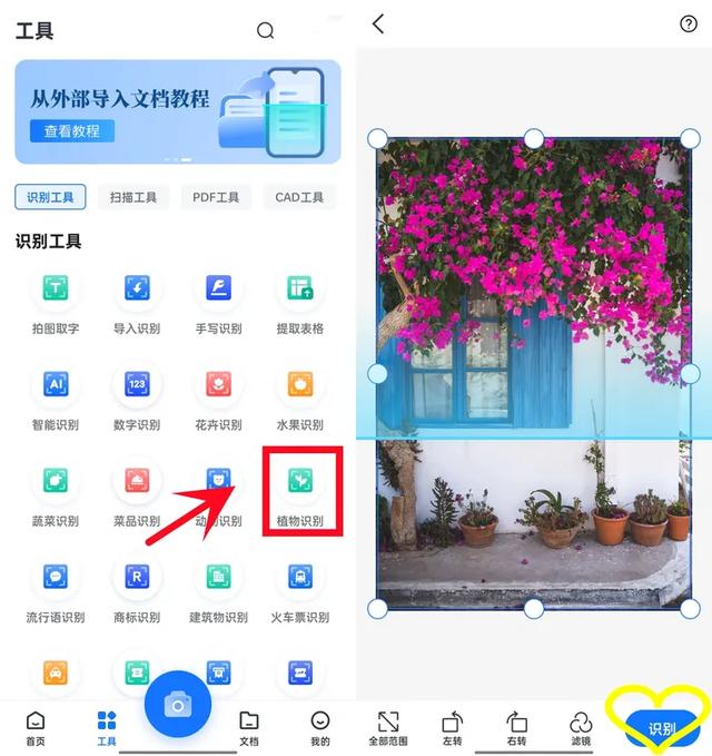 有了这4款app，识花，认鸟，觅虫，观星，样样都行!