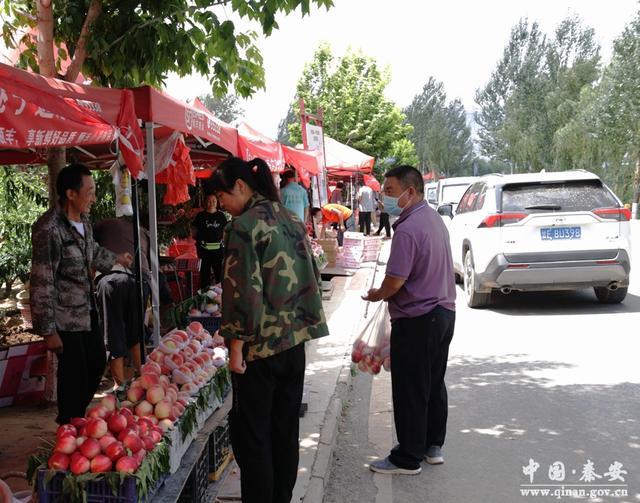 【喜迎二十大 乡村振兴展新颜】秦安：电商助力蜜桃销售 丰收季桃农笑逐颜开