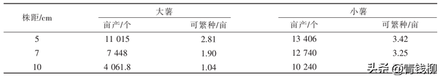 山药零余子繁殖技术解析：提升种植效益的新突破