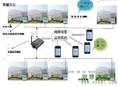 智慧农业：智慧大棚蔬菜种植自动控制系统