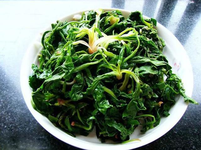 【春城秀】乡野间“馋人”野菜，浓浓“春”的味道