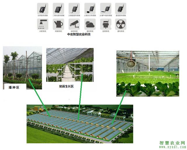 智慧农业：智慧大棚蔬菜种植自动控制系统