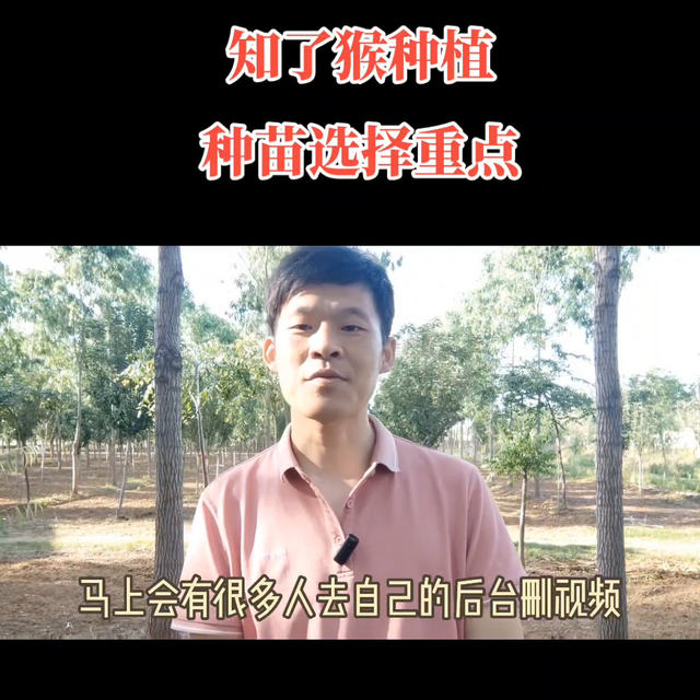 角度不同视野就不同，知了猴种植过程用种源选择是非常重要...