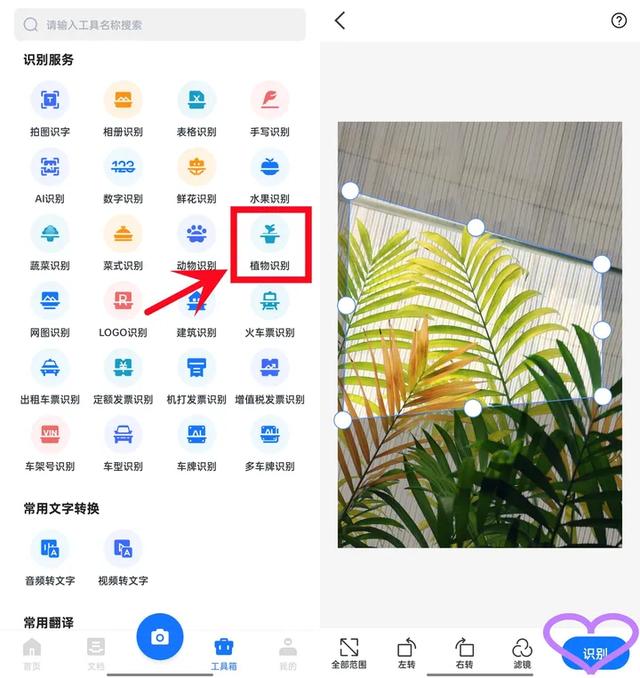 有了这4款app，识花，认鸟，觅虫，观星，样样都行!