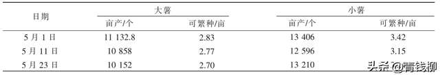 山药零余子繁殖技术解析：提升种植效益的新突破