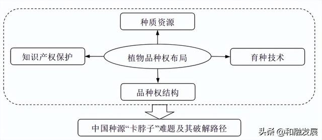 中国种源“卡脖子”难题与破解路径——基于植物品种权布局视角