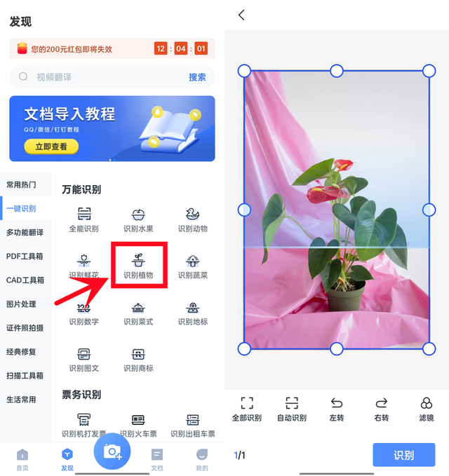 有了这4款app，识花，认鸟，觅虫，观星，样样都行!