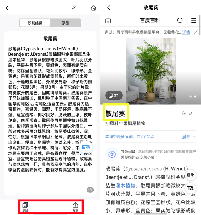 有了这4款app，识花，认鸟，觅虫，观星，样样都行!