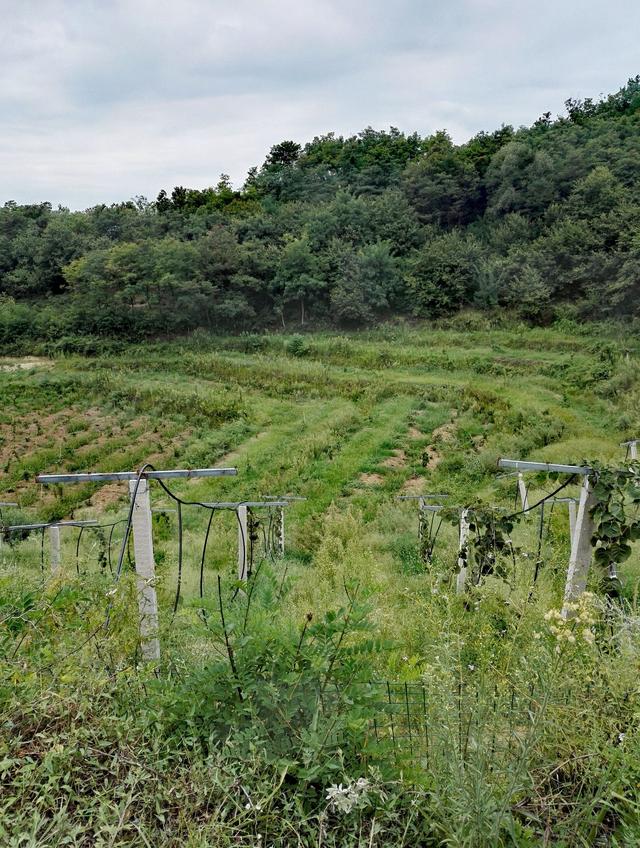 在农村搞“种植业+互联网”需要知道哪些网站？