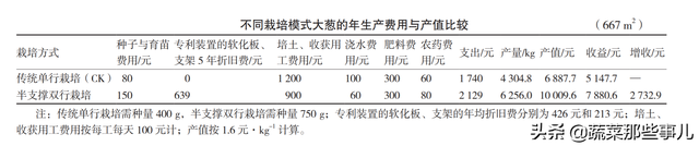 大葱怎么实现免培土？几块软板就能轻松搞定