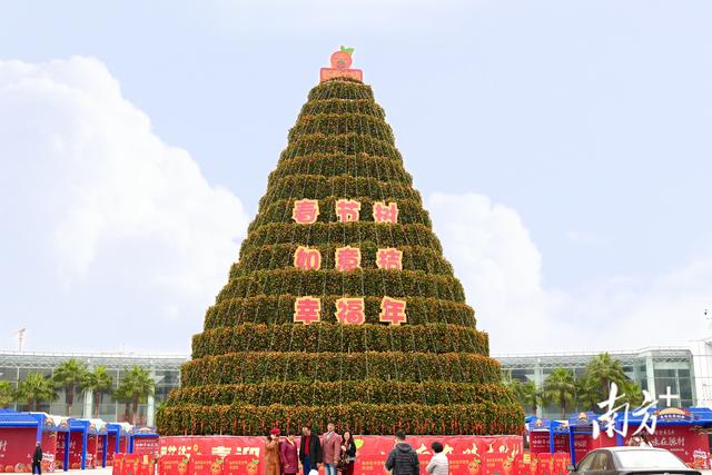 游十里花街，赏花市八景！佛山最大花市11日在顺德陈村启动