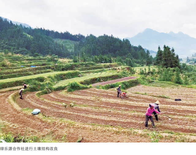 以工业化管理体系打造高山生态产业——韶关乐昌市绿乐源农产品专业合作社