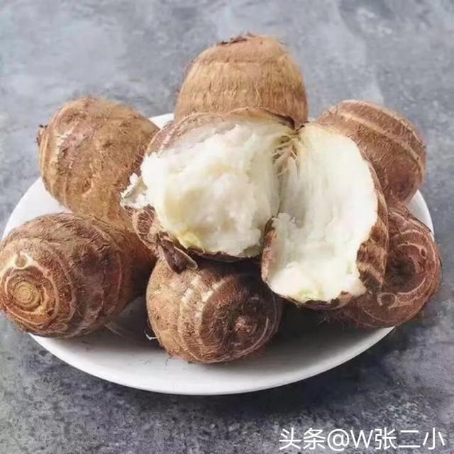 芋头什么季节成熟？有哪些品种？