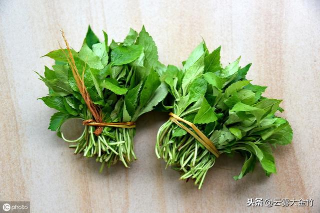 全国这么美味的野菜，有你小时候吃过的吗？