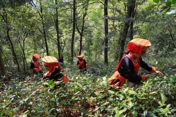 在柳州，能打败奶茶的只有它！有人开车20公里来买……