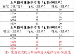 德单5号玉米的种植技术(种植玉米，怎么计算行距和株距？这里有答案)