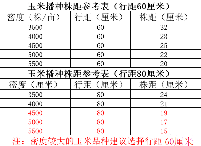 种植玉米，怎么计算行距和株距？这里有答案