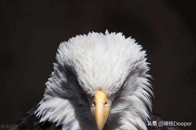 你对美国的“Farmer”的认识，是一个天大的误会