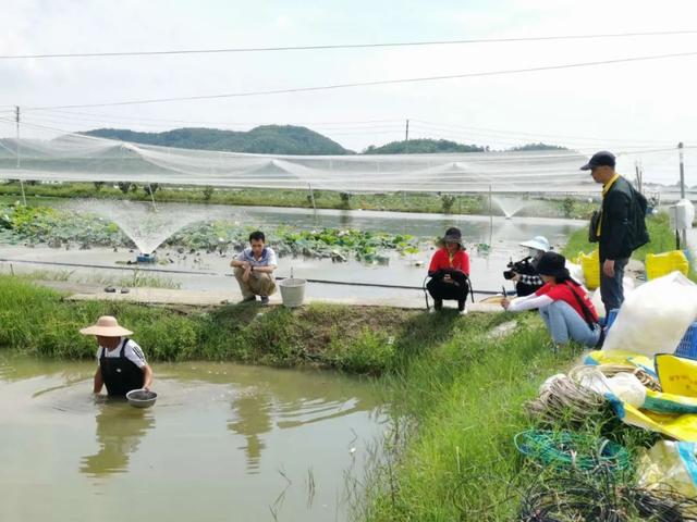 【千名记者一线行】香！甜！脆！扶贫水果撬动贫困村“致富梦”