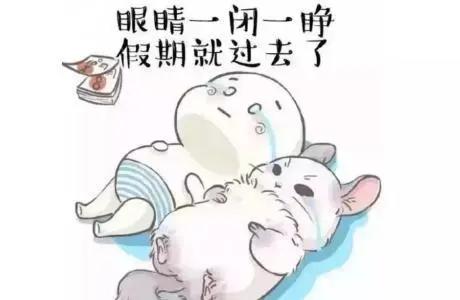 这，就是农高会！